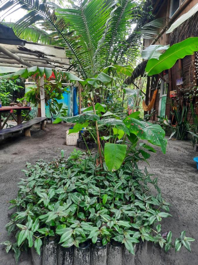 Raices Mompiche Hotel Luaran gambar